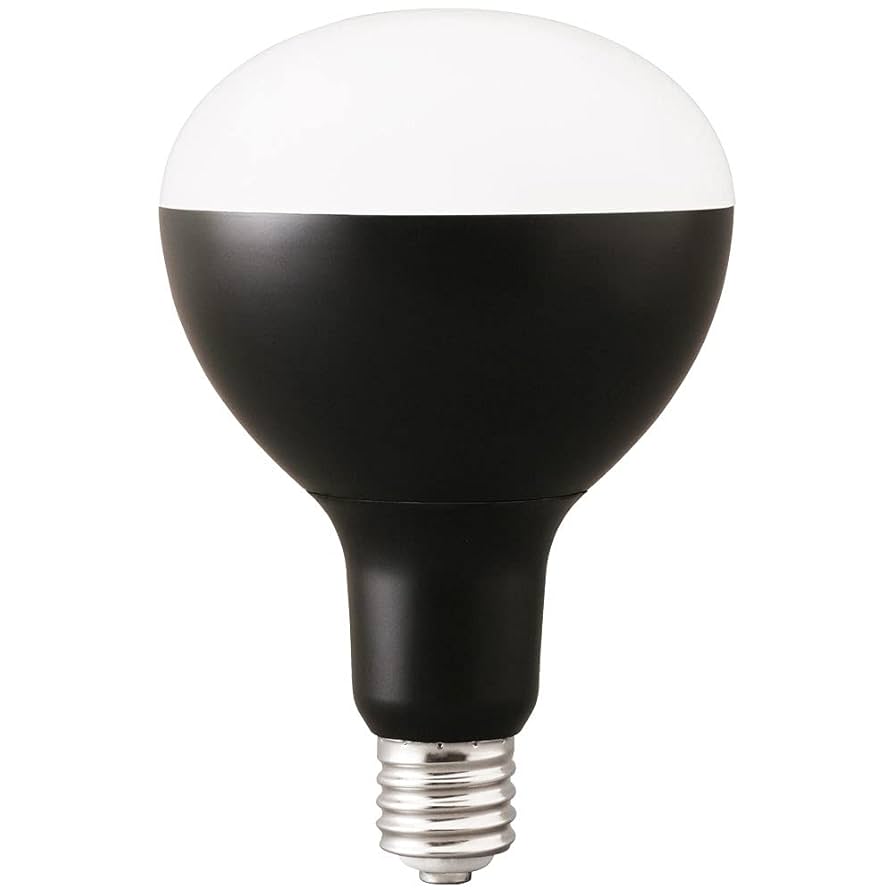 ２箱　アイリスオーヤマ　LED 電球　 投光器用　E39口金　3000ルーメン 楽天市場】【公式】LED電球 E39 投光器 led 屋外 LED電球 e39